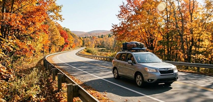 Driving through a scenic road with autumn foliage for Thanksgiving