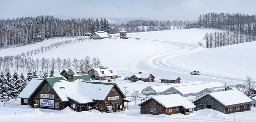Farm Tomita in winter A glimpse of Farm Tomita in winters