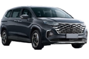Hyundai Custin