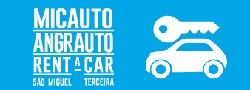 Micauto and Angrauto