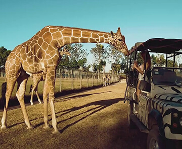 Africa Safari Adventure Park