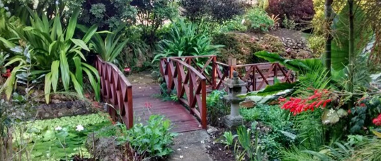 Andromeda Gardens