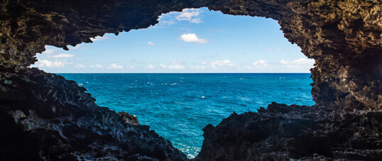 Animal Flower Cave