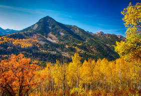 Denver