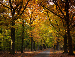 Hoge Veluwe National Park