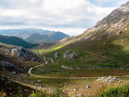 Hottentots Holland Nature Reserves