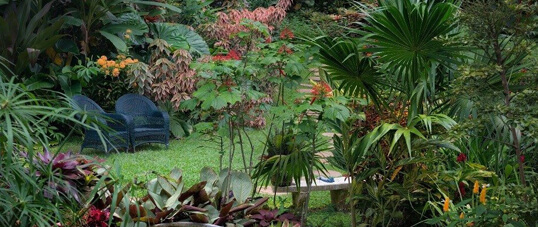 Hunte's Gardens