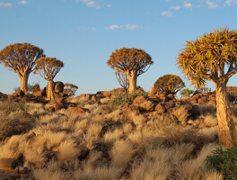 Keetmanshoop