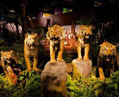 Natural History Museum of Geneva