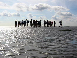 Wadden Sea